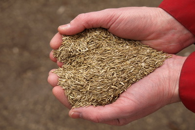 Lancashire sourced topsoil